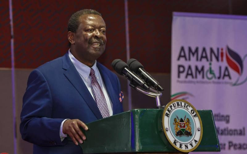 Digital misuse a threat to security, says Mudavadi