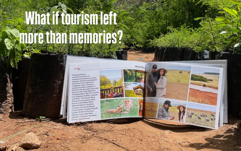 Photobook, tree planting project aims to turn tourists into Kenya ambassadors