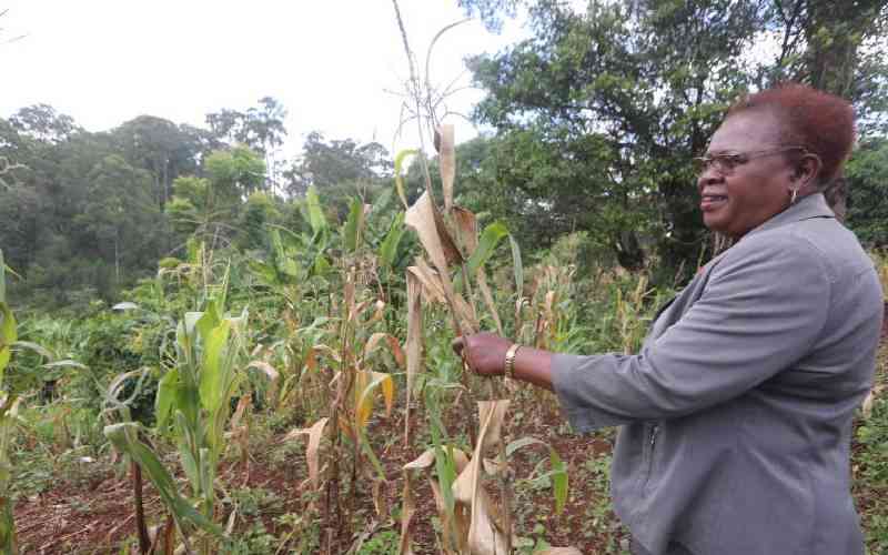 Land ownership among indigenous women worryingly low- Report