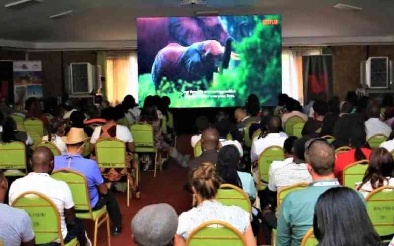 Netflix to promote local tourism, conservation
