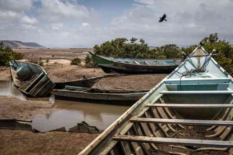 109 migrants dead, 116 missing after boat capsizes off Djibouti