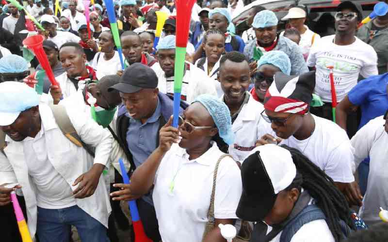 Health workers protest 16 months without pay, urge government action