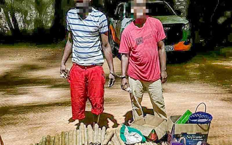 17 suspected members of criminal gangs arrested in major crackdown