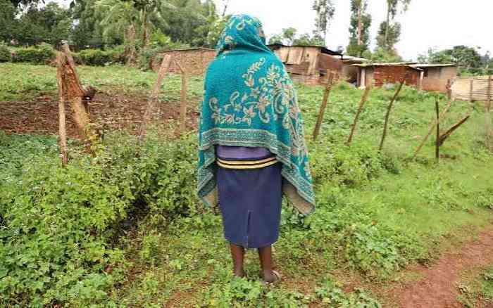 Alarm over raising cases of incest in Bungoma