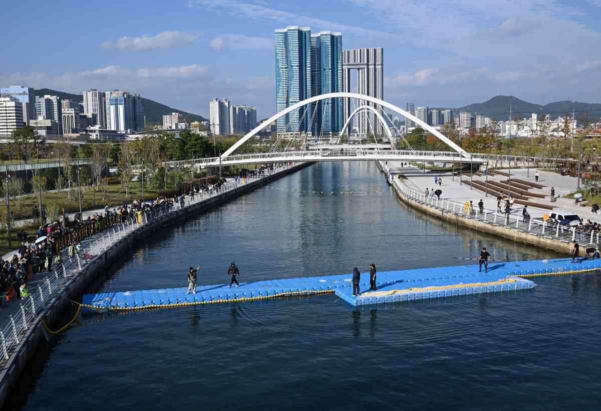 South Korea launches new bid to guide crowd-pulling shark to sea