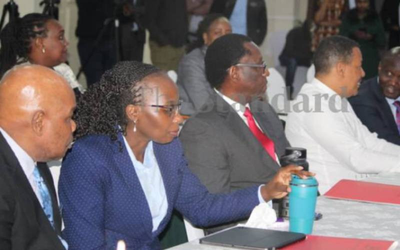 Court halts Ruto's compensation plan for protest victims