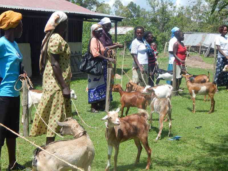 Goat project seeks to empower farmers
