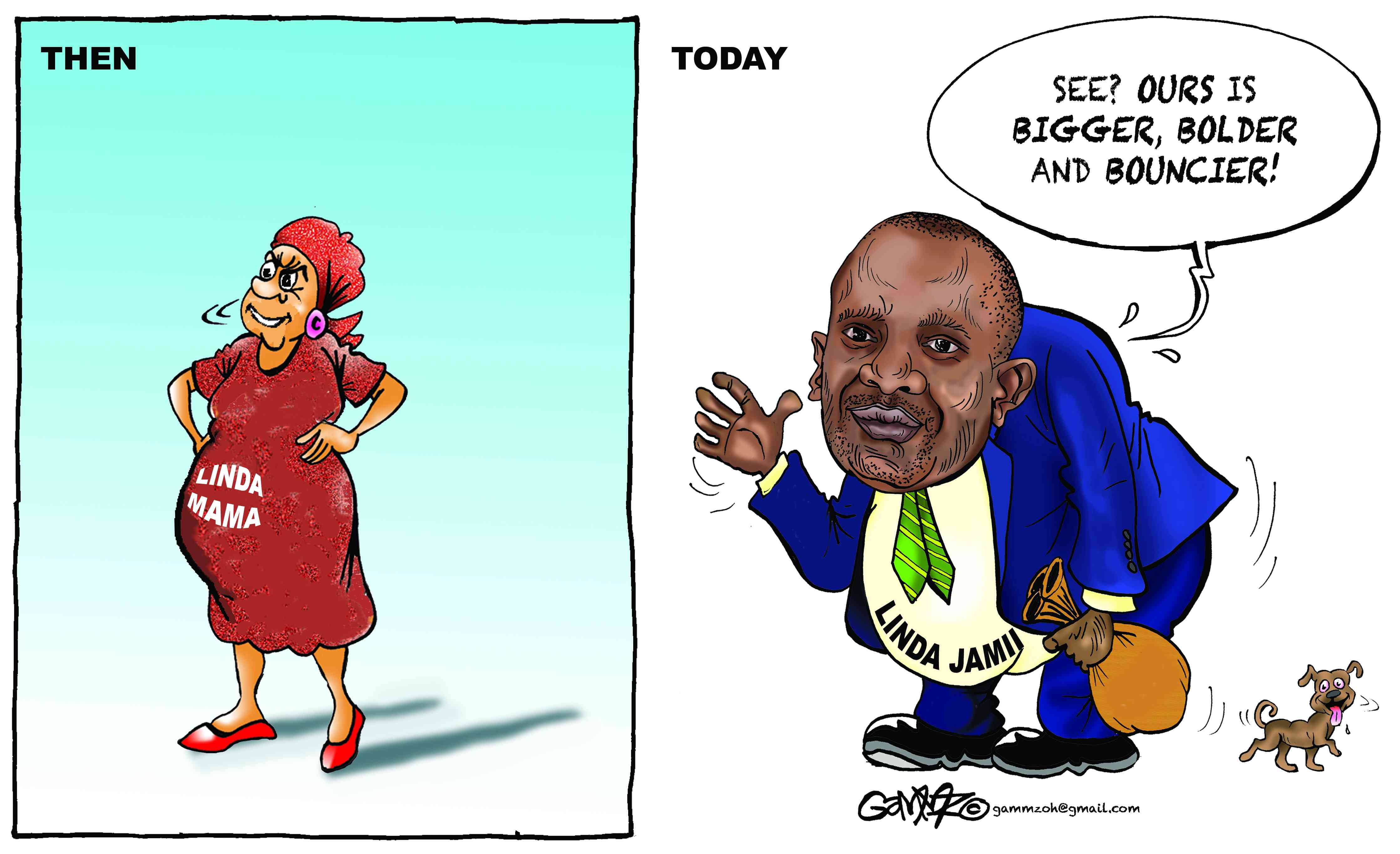 From Linda Mama to Linda Jamii...