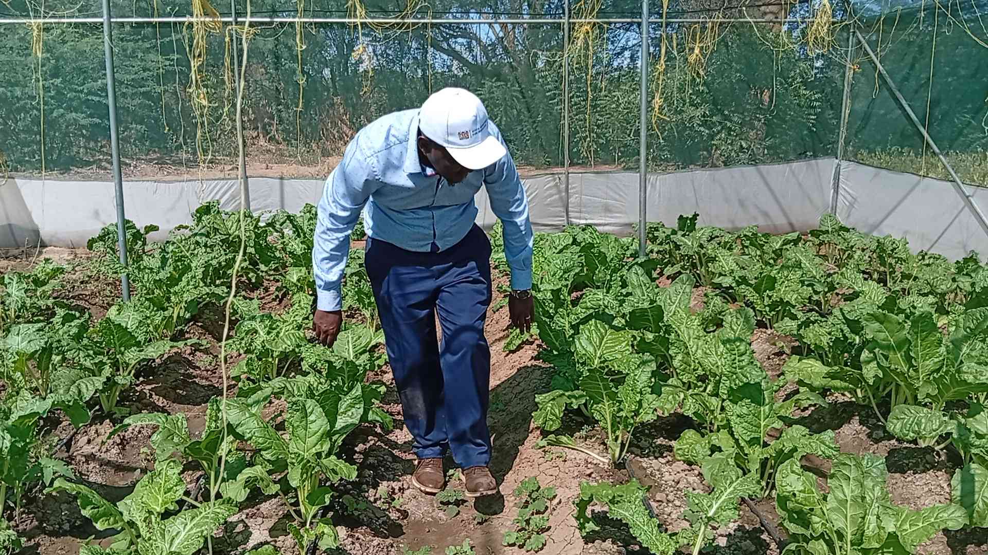 Irrigation push raises hope of ending hunger in Turkana