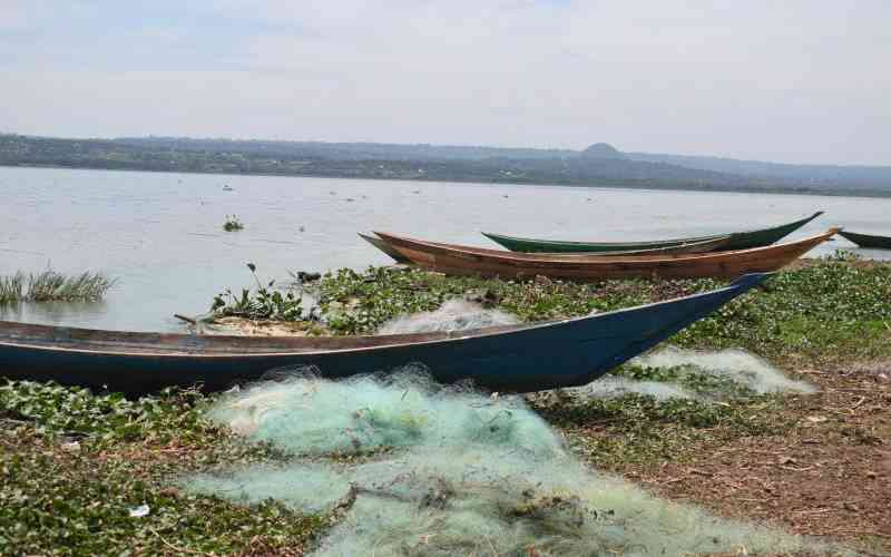 Scientists explain bacteria behind Lake Victoria's green waters