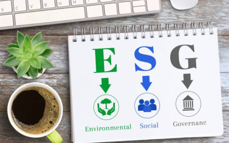 Businesses can win big by embedding ESG in customer experience