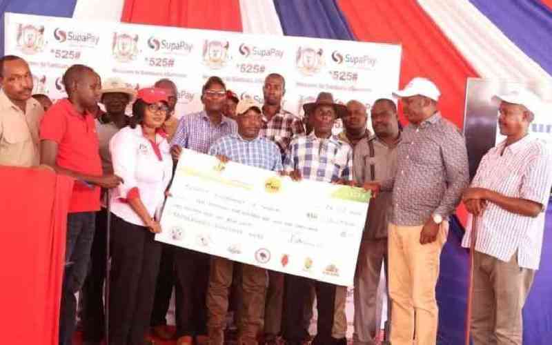 Northern Kenya conservancies earn Sh655 million from carbon credits