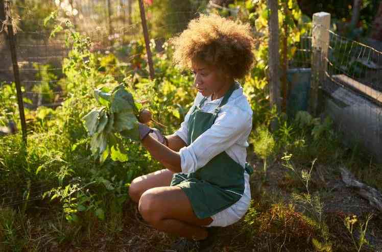 Hobby yourself into good health: The secret to joy, wellness and longevity