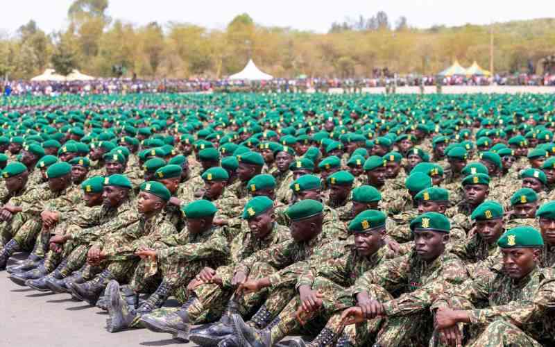 MPs question fate of annual NYS graduates