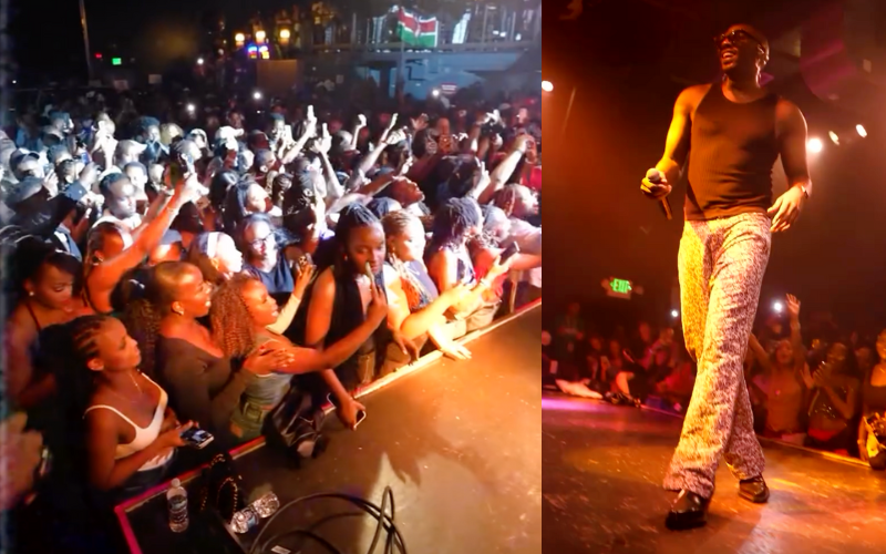 Bien thrills diaspora fans with electrifying performance in Seattle