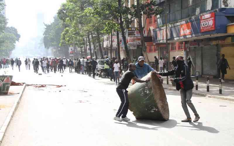 Ndii defends crackdown on prot...