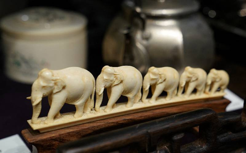 Japanese ivory trade attracts fresh global scrutiny