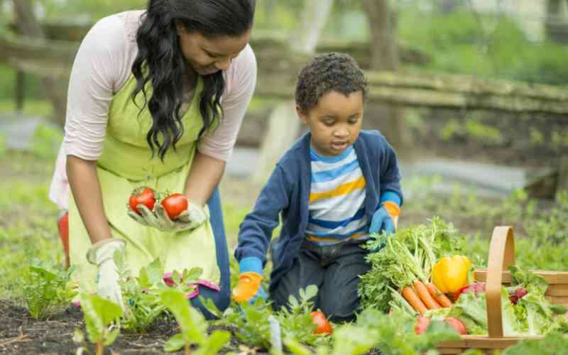 Start the year with a simple kitchen garden