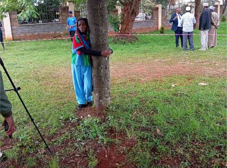 Why destruction of trees will likely lead to fights over water resources