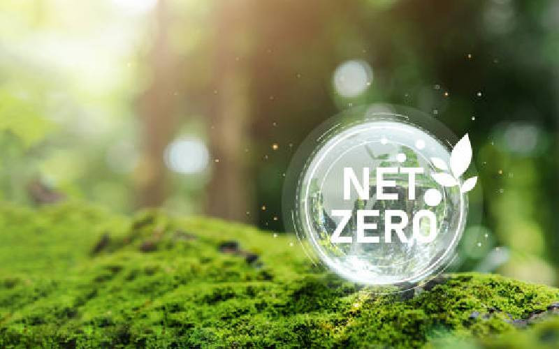Achieving carbon net zero: What is the fuss all about?