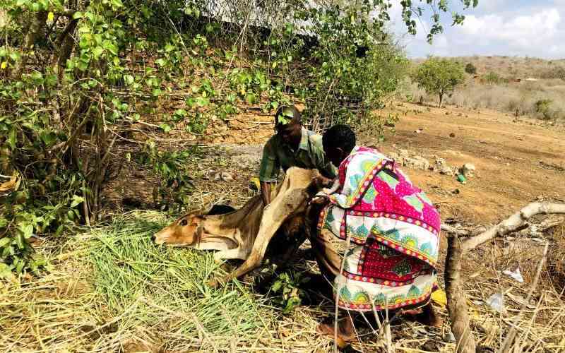 Thousands  in dire need of food aid in Kilifi