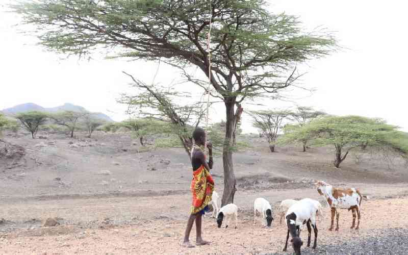 Turkana leaders raise concern over NGO jobs
