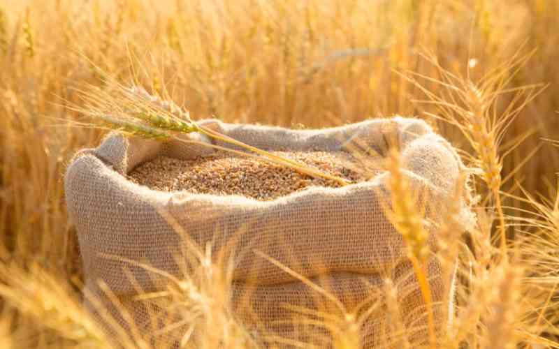 Government announces new wheat prices