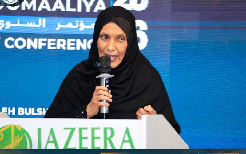 Why Somalia's human rights chief question on freedoms has ignited national debate