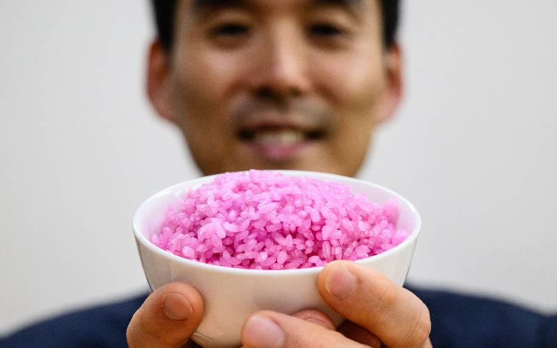 'Meaty rice?' Don aims to change global protein
