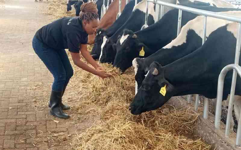 Why feed quality matters for better dairy results