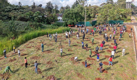 Tree survival takes focus as PS says Sh450bn will reach communities