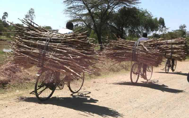 One billion Africans being harmed by cooking pollution
