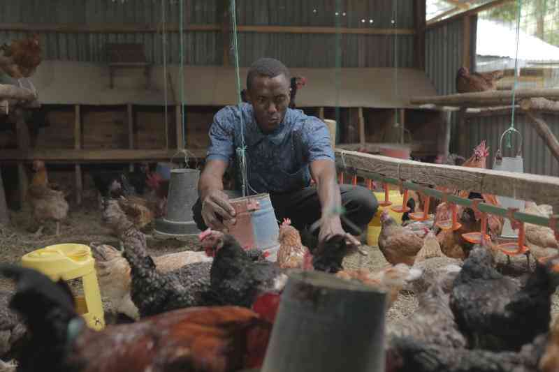 New Year selling tips for your poultry farm