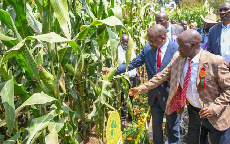 Of Africa's political economy and food systems