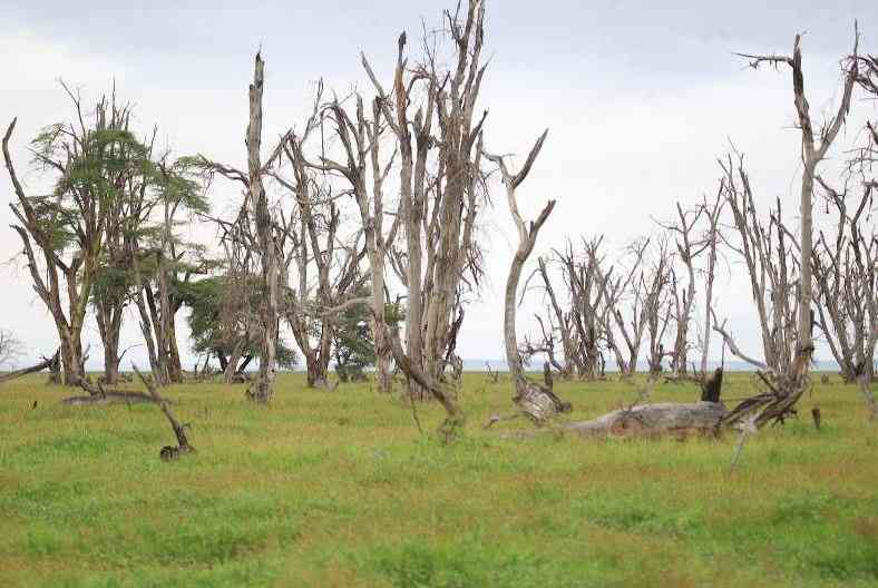 20-year lodge row haunts Kajiado as unpaid debt balloons to Sh1b