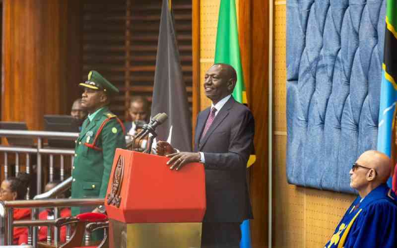 Ruto to Tanzania MPs: Mistrust has cost us time and prosperity