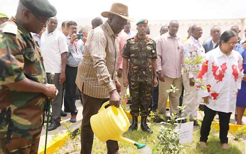 Embrace William Ruto's call to plant 15 billion trees