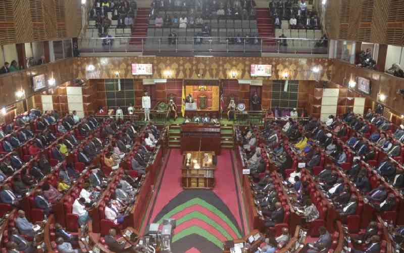 Full in-tray awaits MPs as House opens