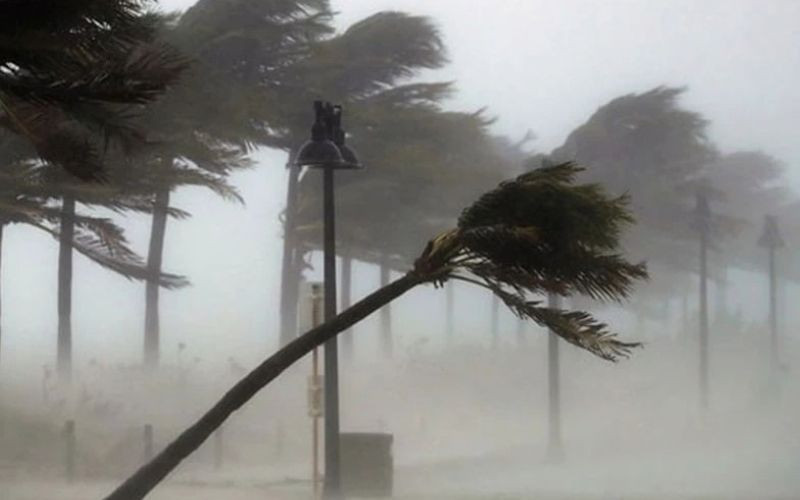 Coast issued marine safety alert as strong winds, large waves forecast