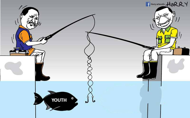 The Ideal Catch