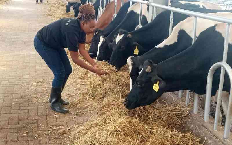 Kenya hosts global conference on livestock methane emissions