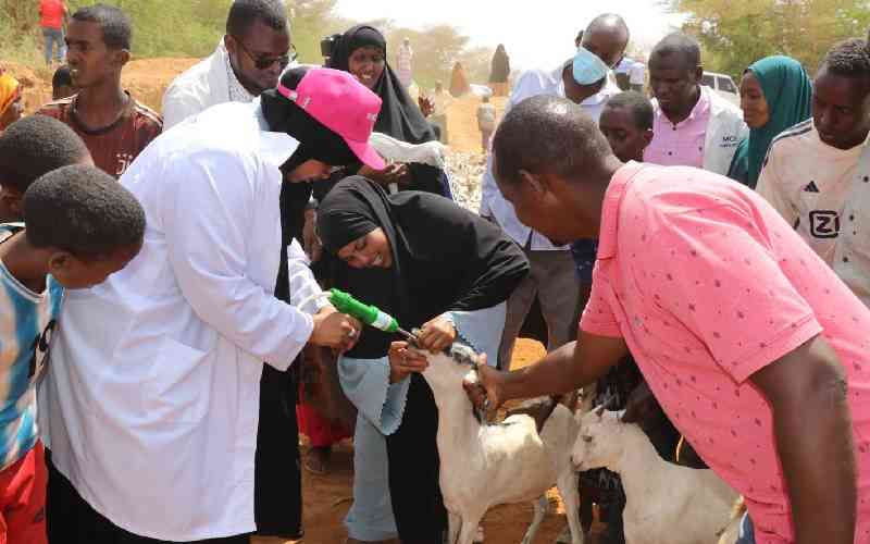 At least 266 Mandera homes to benefit from goat restocking programme