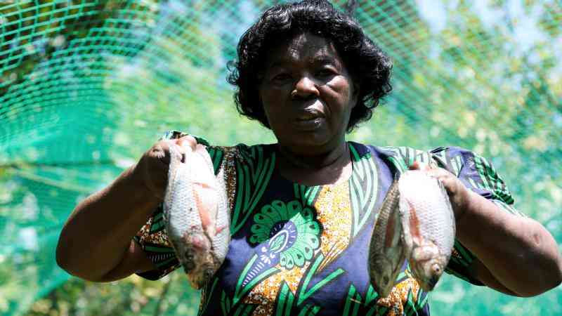 Fish farmers boost production with aquaculture