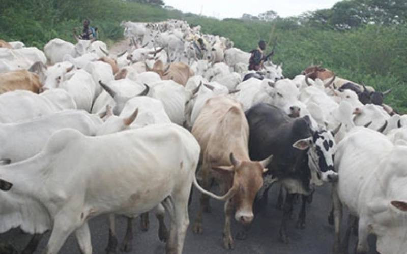 Leaders demands State ends cattle rustling and killings in Meru and Isiolo counties or sue it