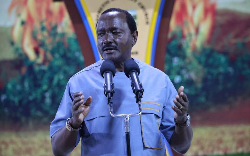 Kalonzo blasts govt over deadly Tseikuru attack
