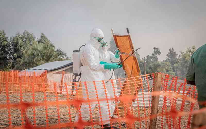 From animals to humans: Why HIV became a pandemic but Ebola didn't