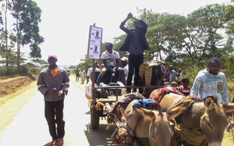 Elementaita MCA: How varsity student rode on a donkey to victory