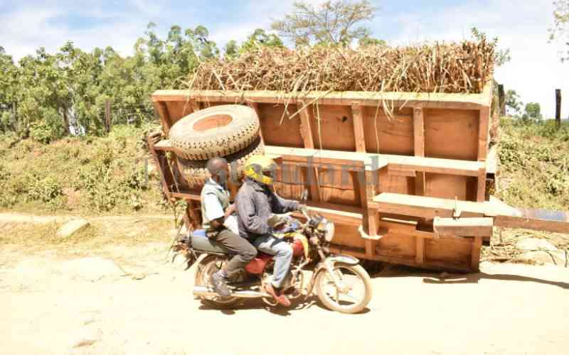 Relief for sugar cane millers as State lifts ban on night transport