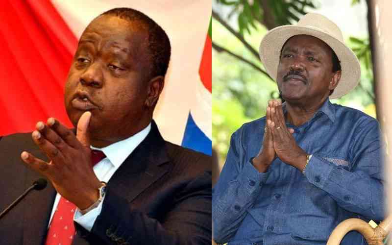 Kalonzo-Matiang'i ticket emerges as opposition's best shot at defeating Ruto