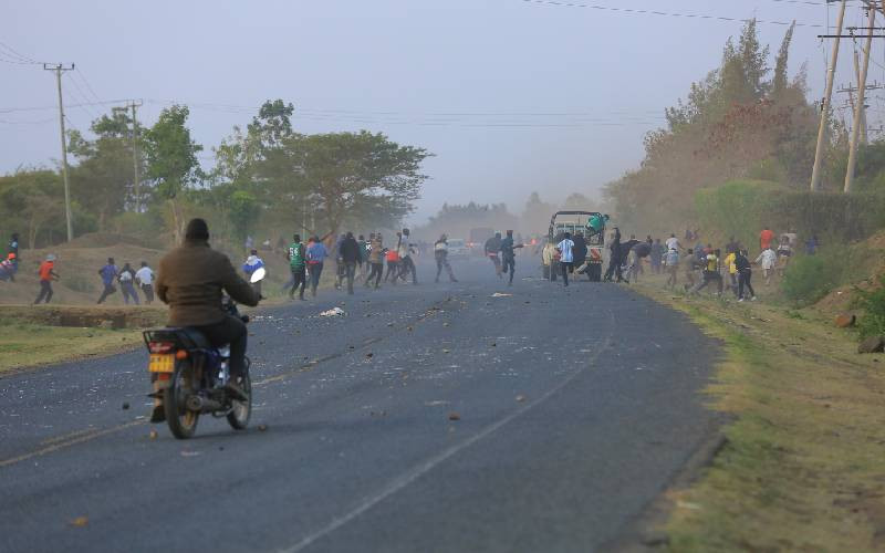 Homa Bay offers vital lesson on mainstreaming 'goons' to national security apparatus